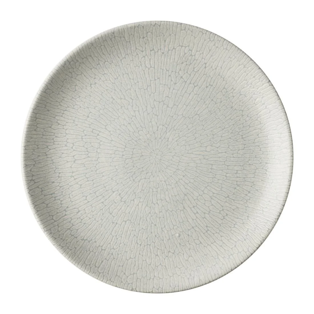 Churchill Delta Grey Evolve Plates 288mm (12 Pack) - Image 1