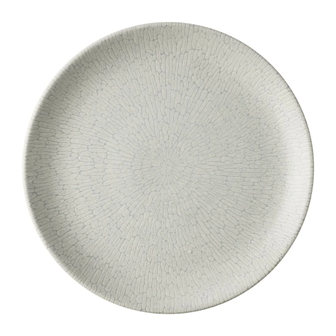 Churchill Delta Grey Evolve Plates 288mm (12 Pack)