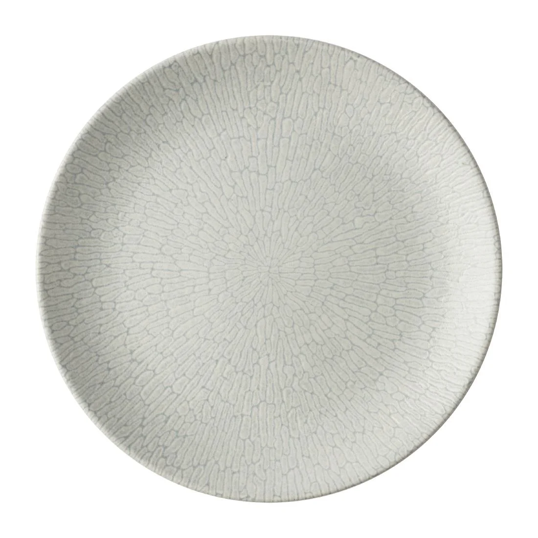 Churchill Delta Grey Evolve Plates 260mm (12 Pack) - Image 1