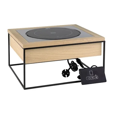 APS Induction Station 354x325x190mm - Image 3