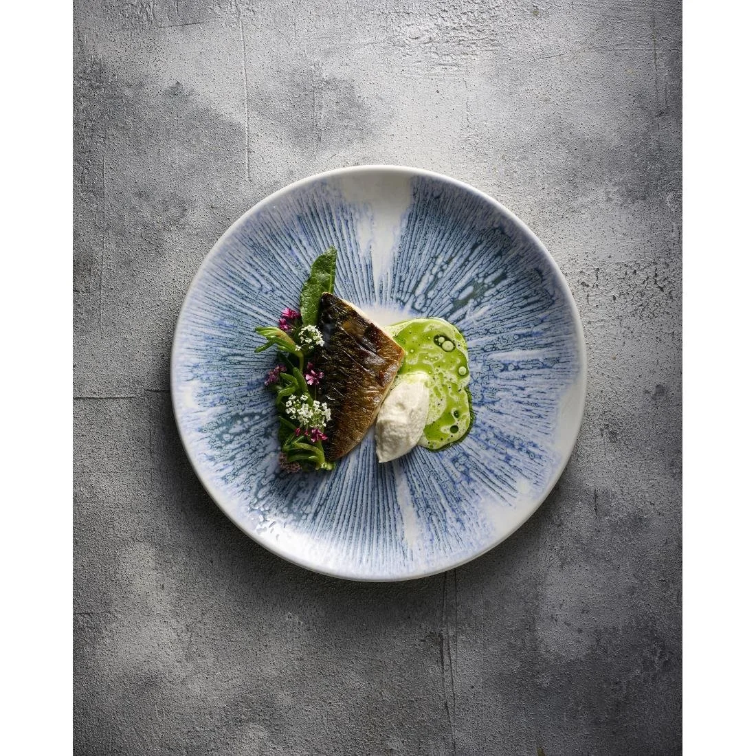 Churchill Lyra Blue Evolve Coupe Plates 217mm (12 Pack) - Image 2