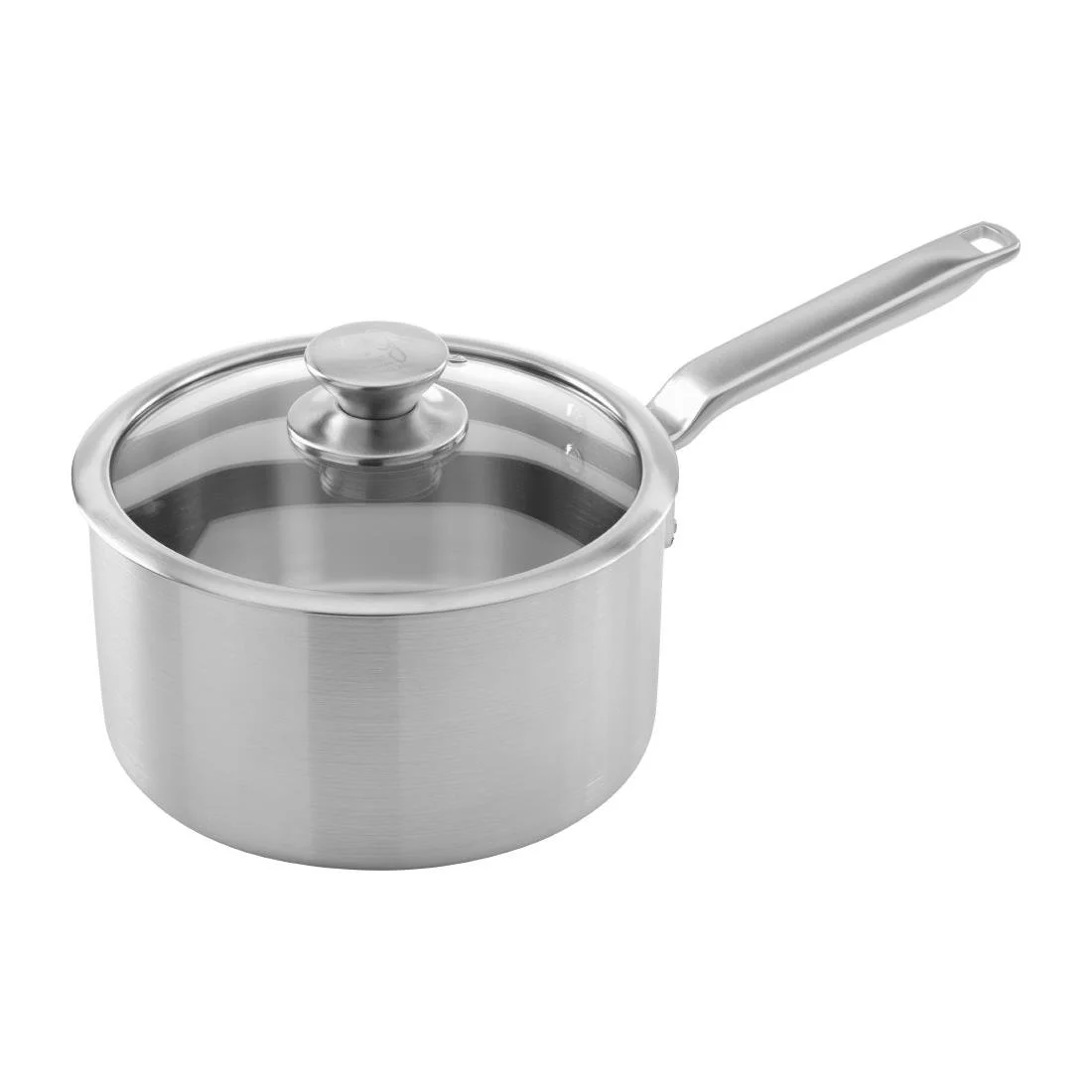 Samuel Groves Stainless Steel Saucepan and Glass Lid 20cm - Image 1