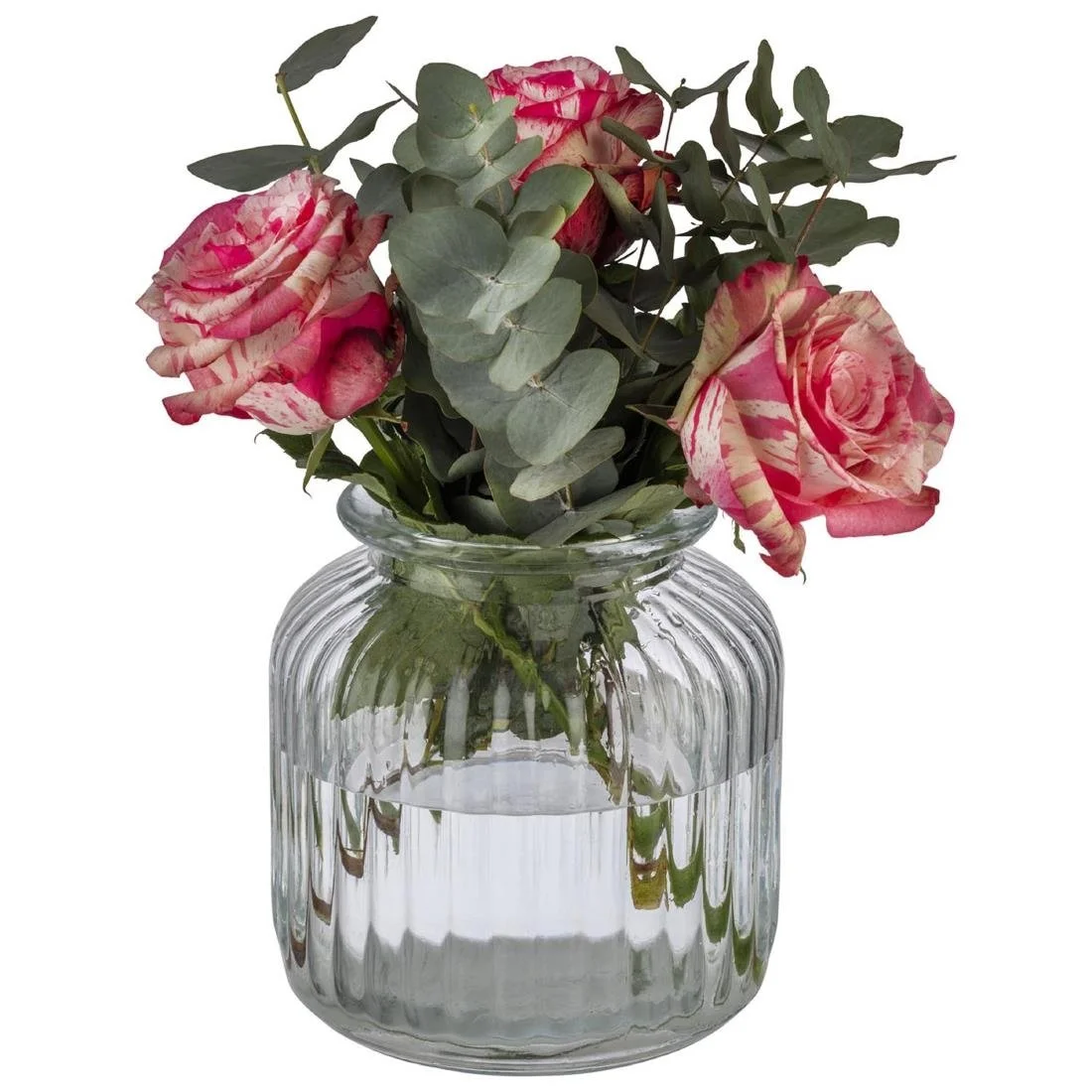 APS Cookiego Storage Jar 3Ltr - Image 4