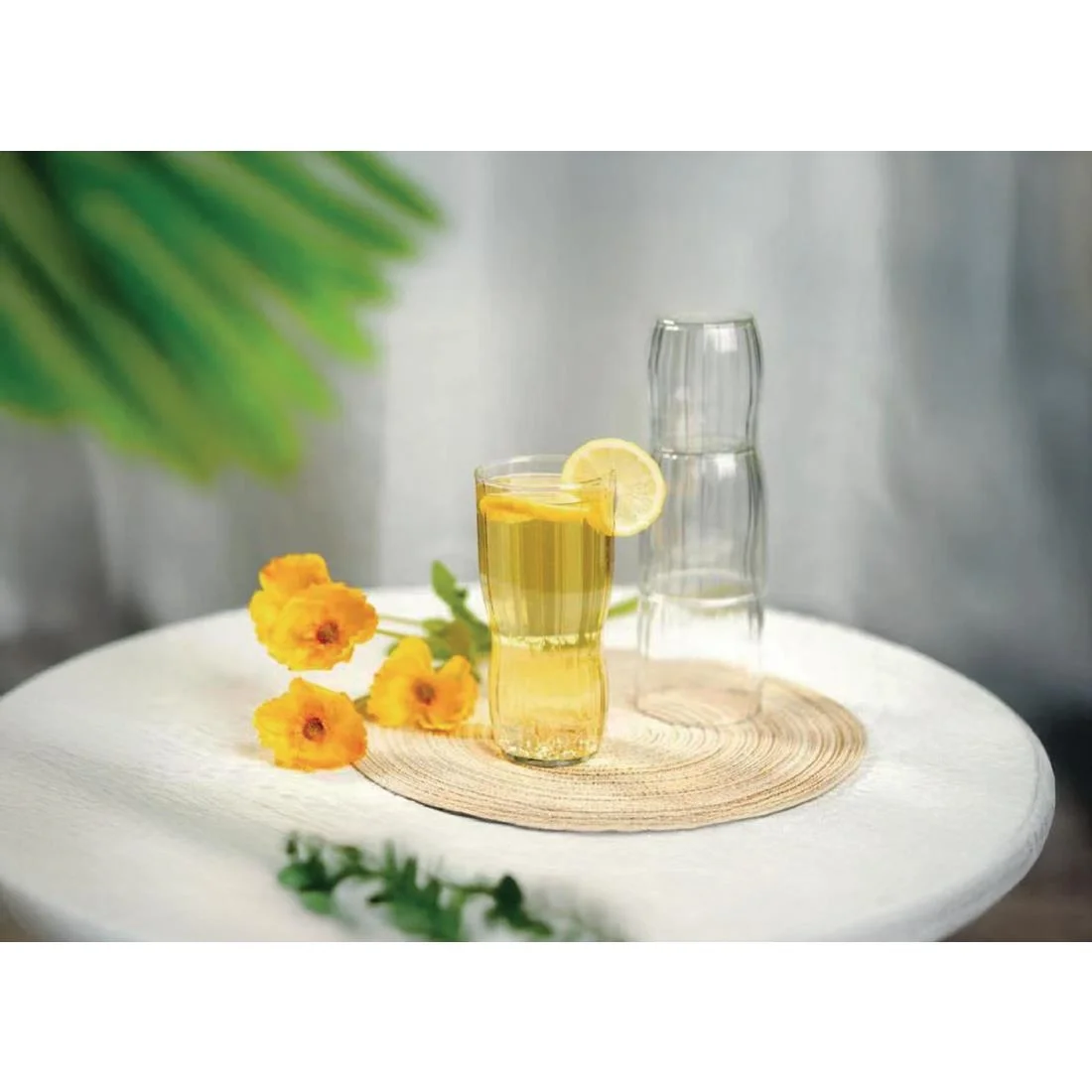 Stacking Pannello Hi Ball 305ml ( 12 Pack) - Image 5
