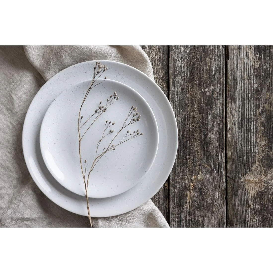 Olympia Origin Coupe Plates White 260mm (4 Pack) - Image 4