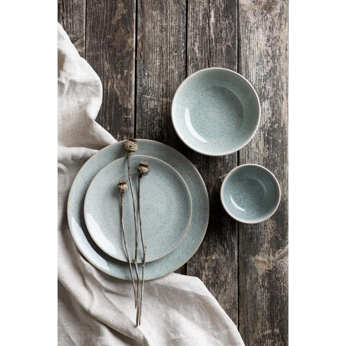 Olympia Origin Coupe Plates Duck Egg Blue 260mm (4 Pack) - Image 3