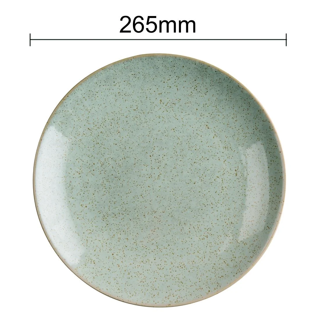 Olympia Origin Coupe Plates Duck Egg Blue 260mm (4 Pack) - Image 9