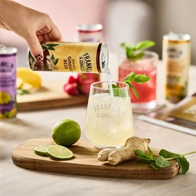 Franklin & Sons Brewed Ginger Beer Cans 250ml (12 Pack) - Image 2