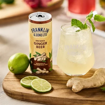 Franklin & Sons Brewed Ginger Beer Cans 250ml (12 Pack) - Image 3
