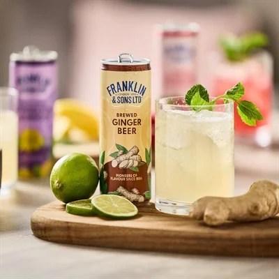 Franklin & Sons Brewed Ginger Beer Cans 250ml (12 Pack) - Image 4