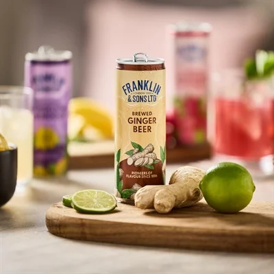 Franklin & Sons Brewed Ginger Beer Cans 250ml (12 Pack) - Image 5