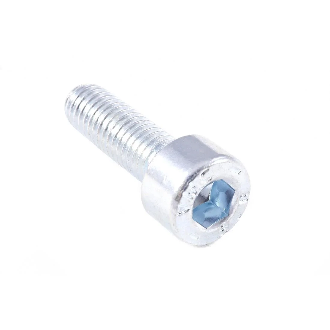 Santos Juice Extractor Screw