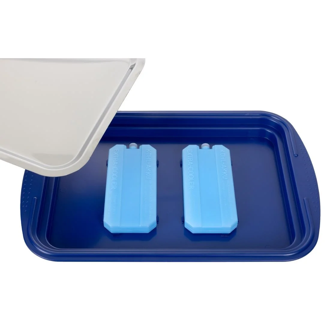 APS Cooling Display Tray and Cover - Image 4
