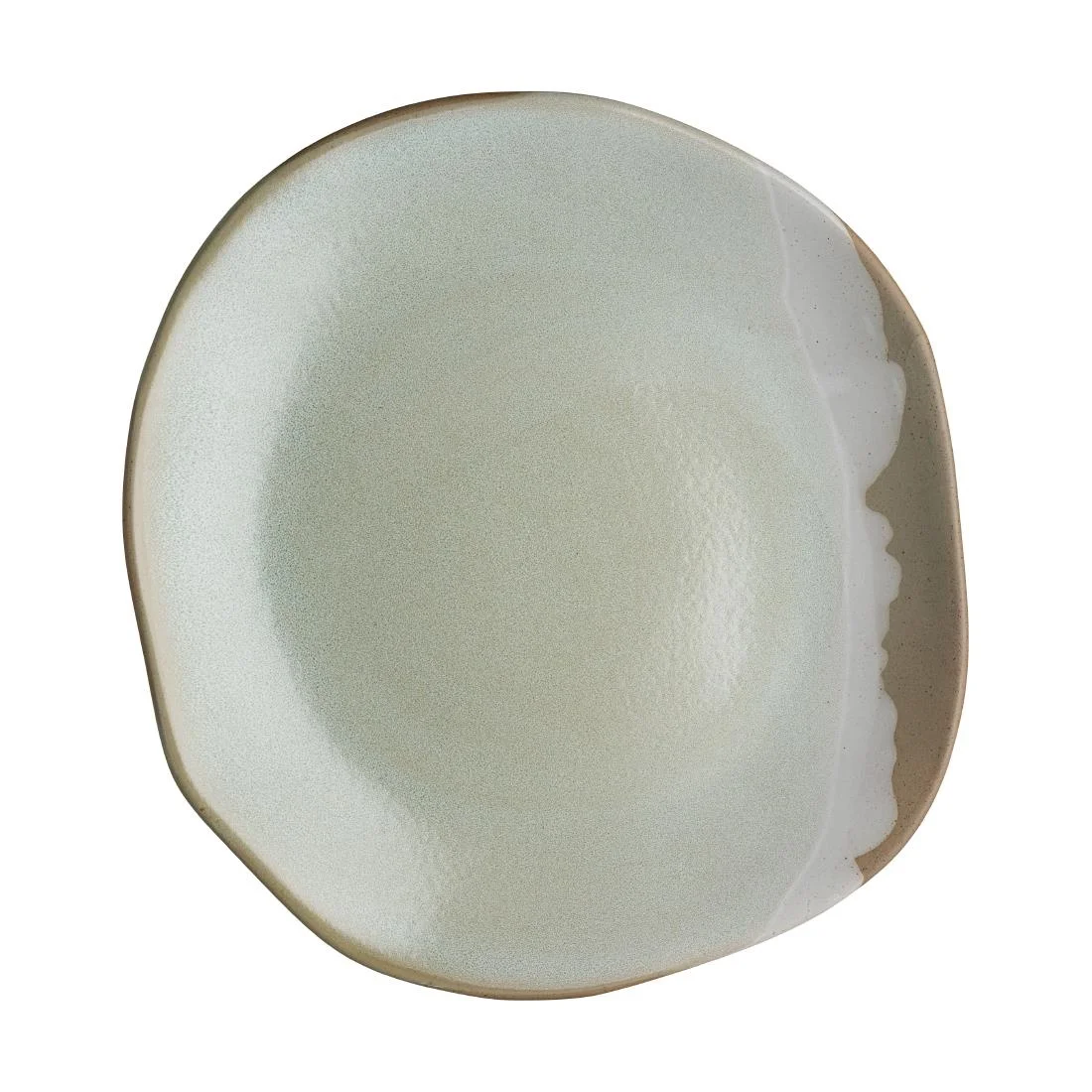 Robert Gordon Forager Plates 295mm (12 Pack)(Direct Pack)