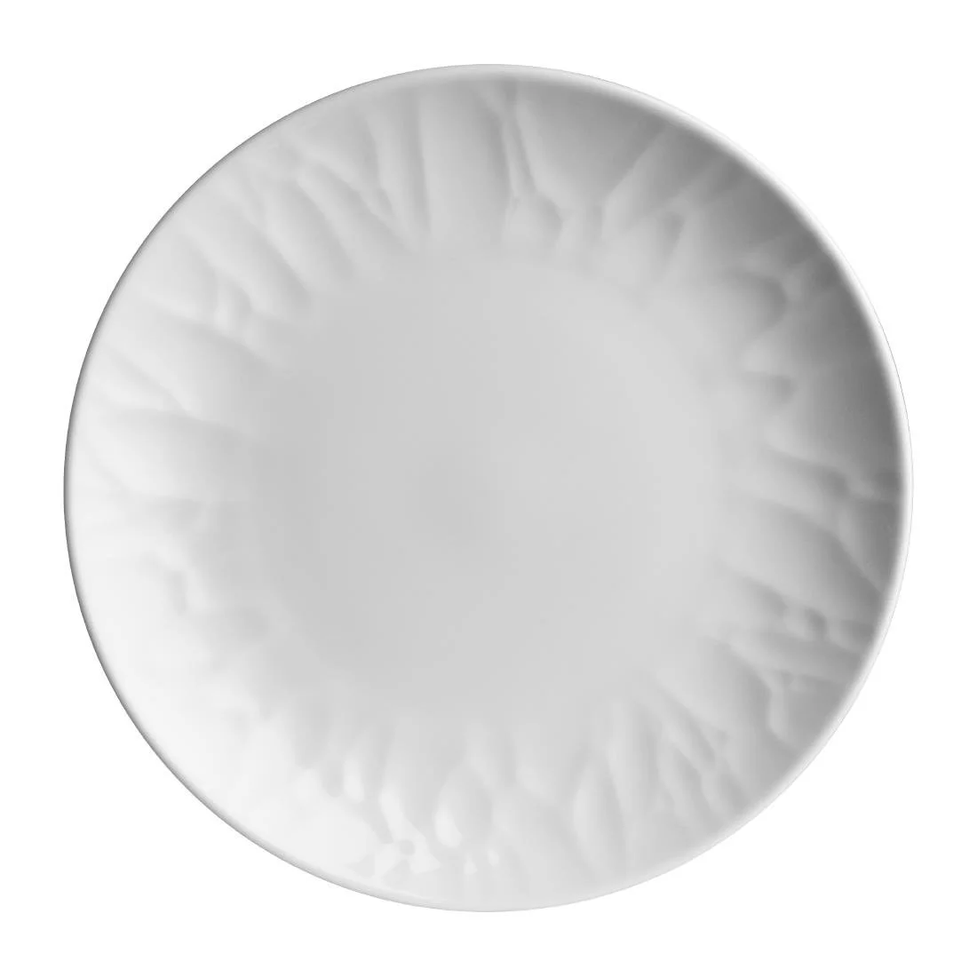 Steelite Atelier Signature Coupe Plates 279mm (12 Pack) - Image 1