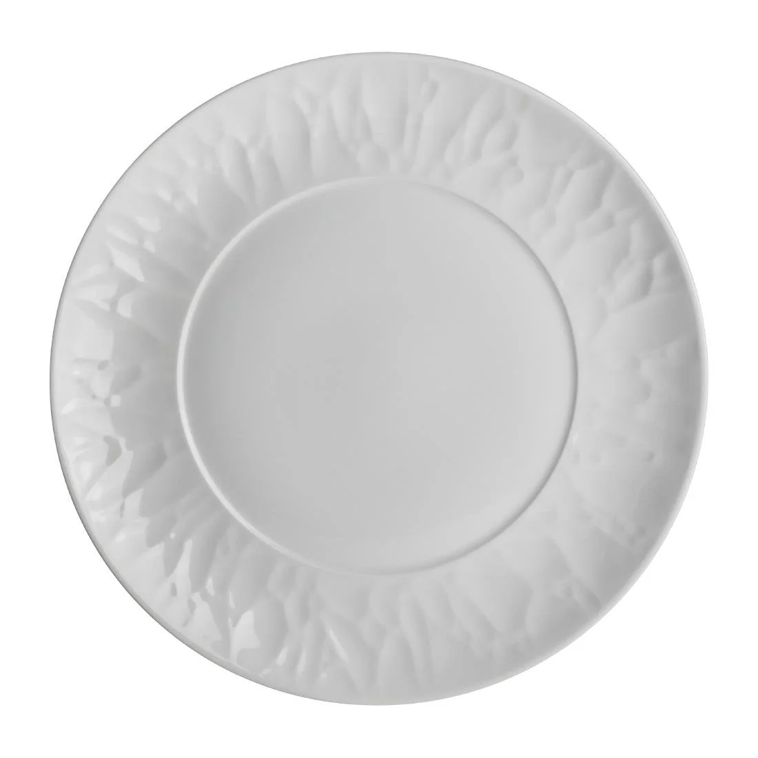 Steelite Atelier Plates 270mm (12 Pack) - Image 1