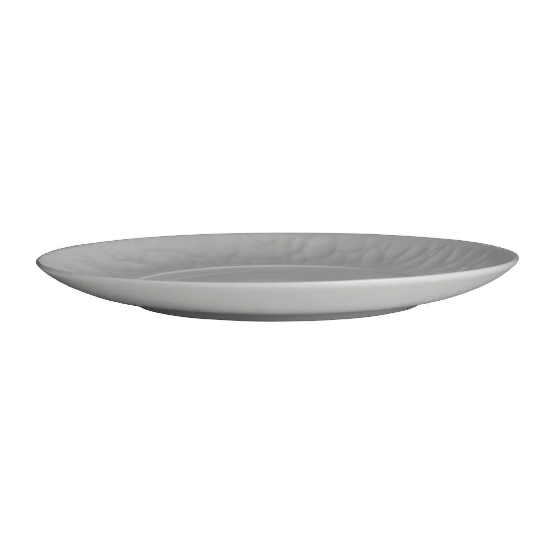 Steelite Atelier Plates 270mm (12 Pack) - Image 3
