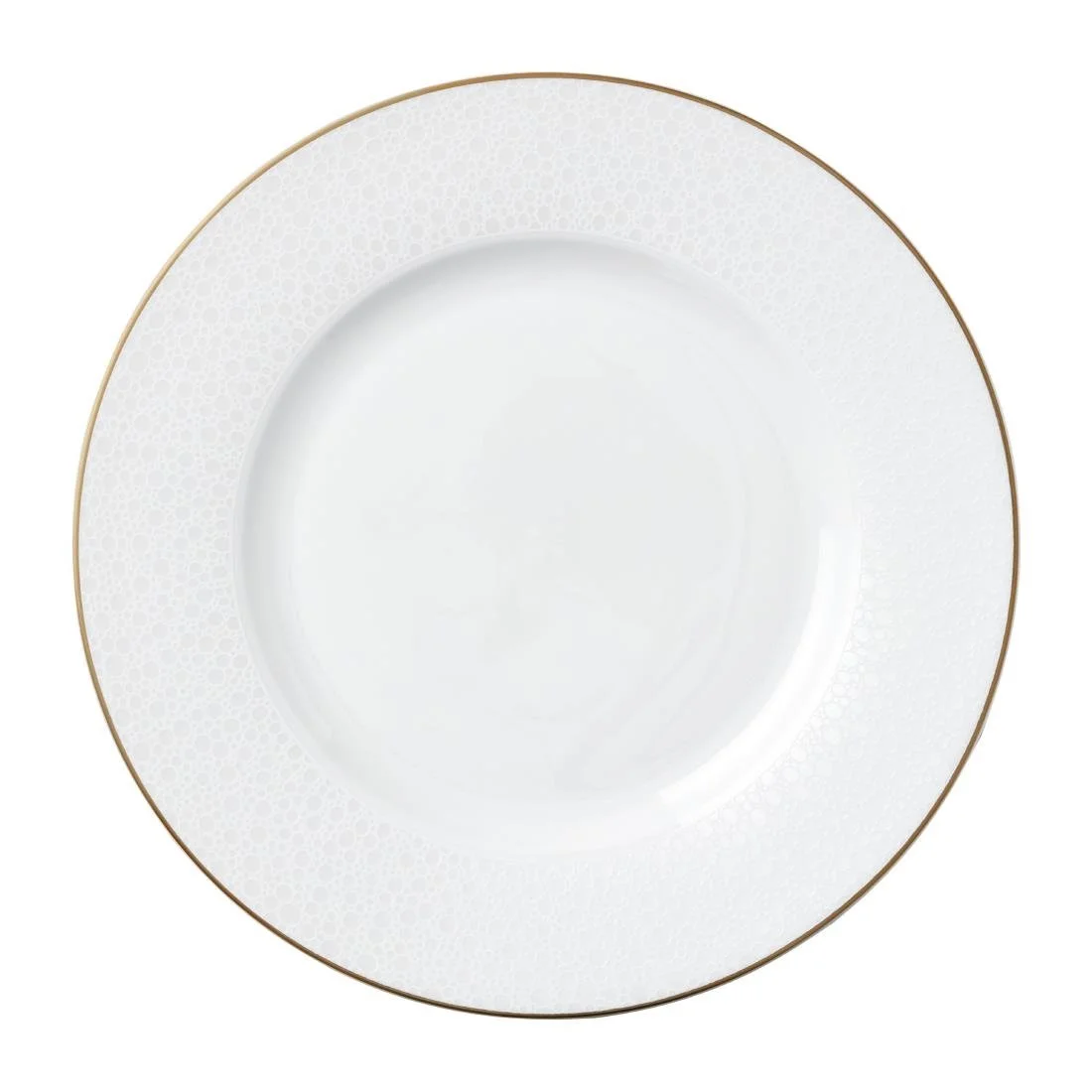 William Edwards Fizz Plates 275mm (12 Pack) - Image 1
