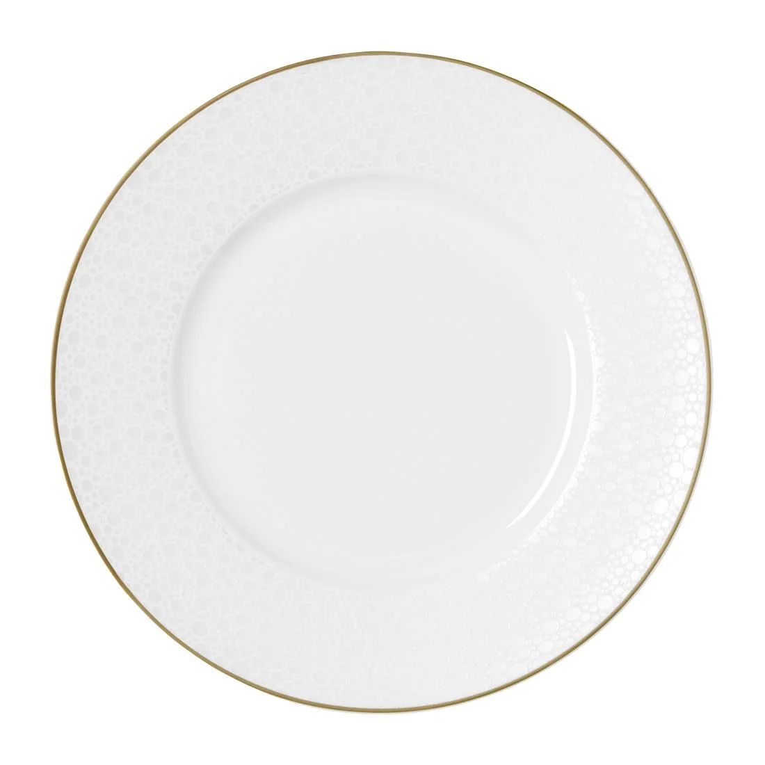 William Edwards Fizz Plates 220mm (12 Pack)
