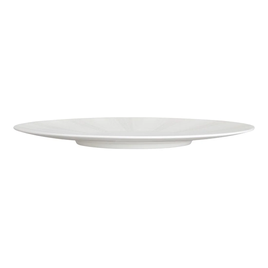 William Edwards Quill Snipe Plates 310mm (6 Pack) - Image 3