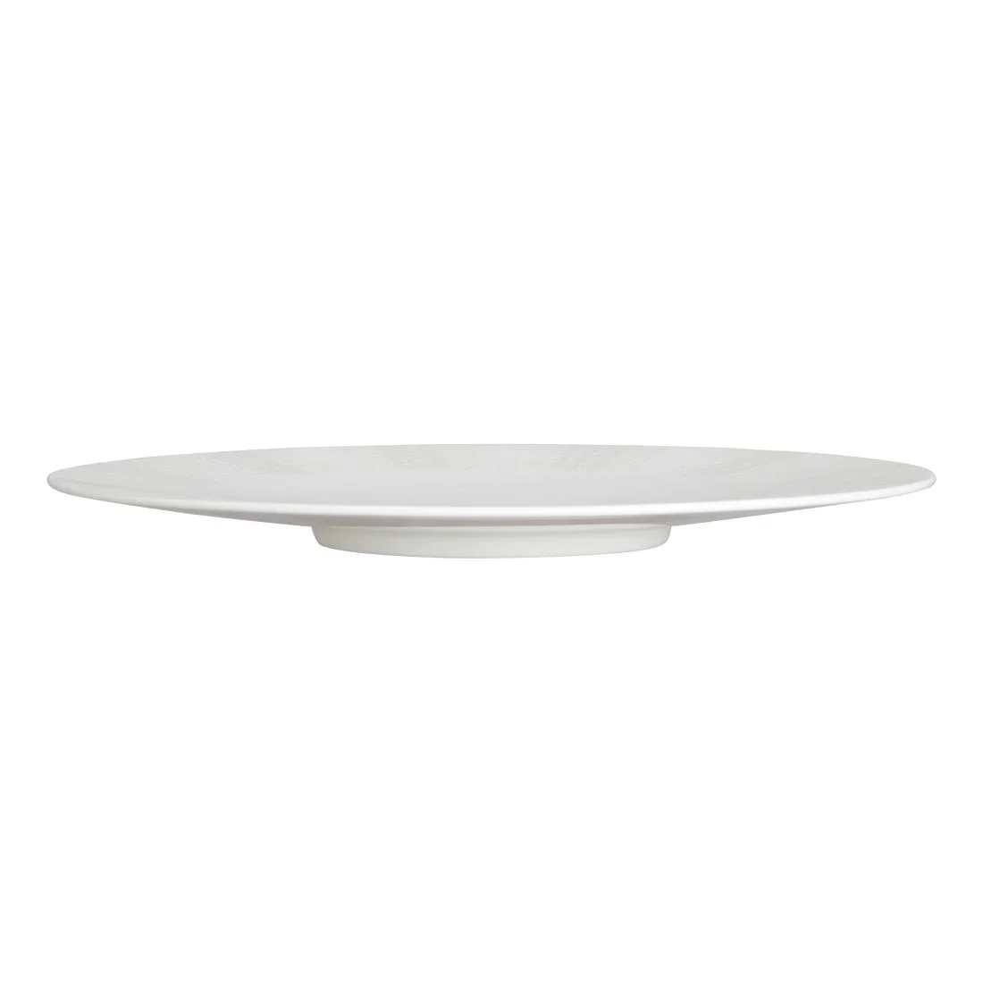 William Edwards Quill Snipe Plates 270mm (12 Pack) - Image 3
