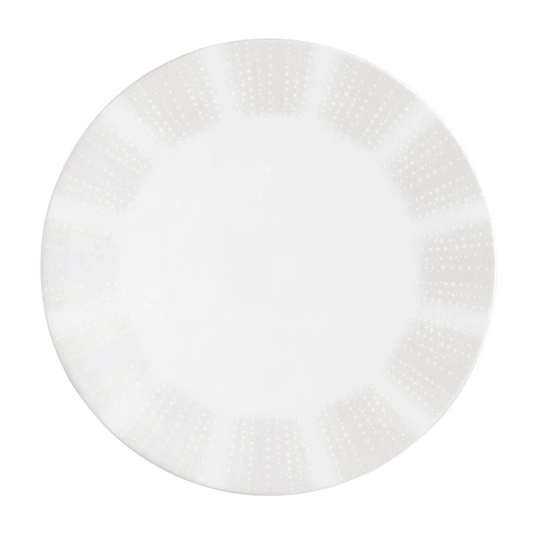 William Edwards Quill Snipe Plates 270mm (12 Pack)