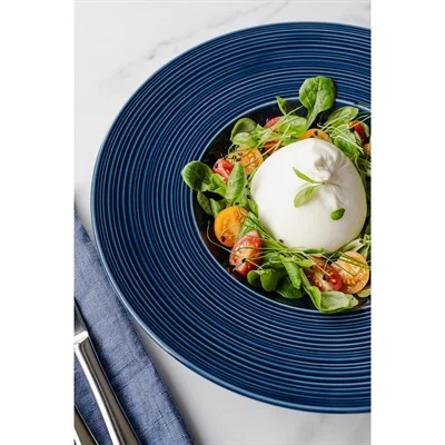 Steelite Concorde Oatmeal Bowls Midnight Blue 165mm (12 Pack) - Image 10