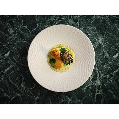 Steelite Morella Gourmet Large Well Plates 285mm (6 Pack) - Image 6