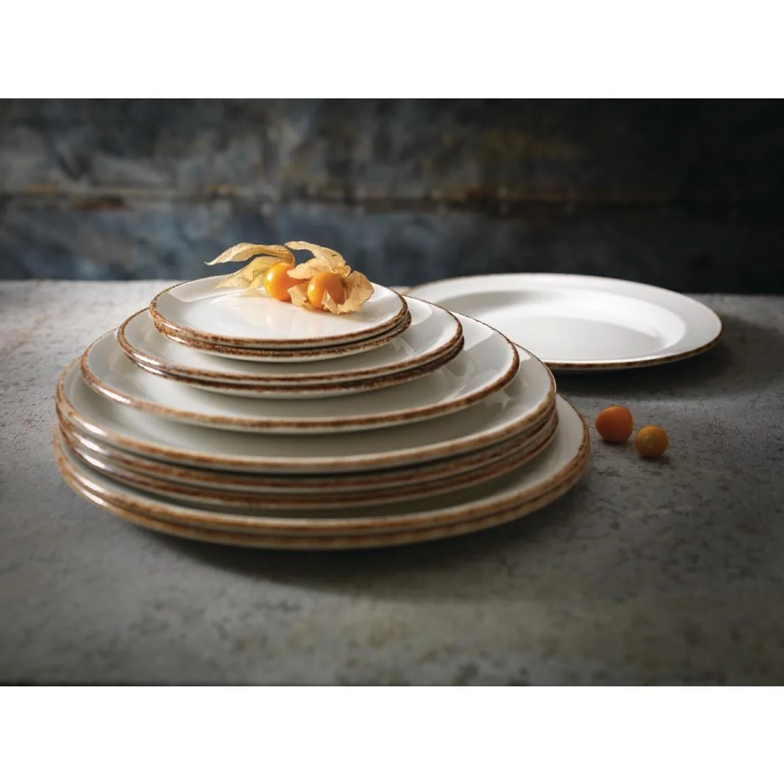 Steelite Brown Dapple Coupe Plates 253mm - Image 3